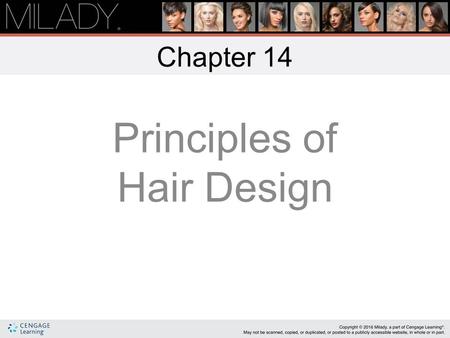 Principles of Hair Design