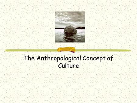 The Anthropological Concept of Culture. Today, January 21, 2005 Culture as shared and learned behavior Culture and the symbolic means of communications.