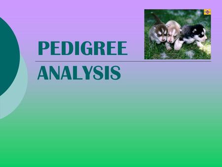 PEDIGREE ANALYSIS.