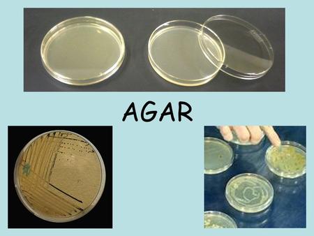 AGAR.