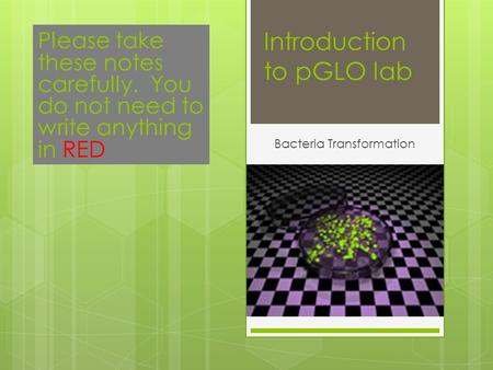 Introduction to pGLO lab Bacteria Transformation Please take these notes carefully. You do not need to write anything in RED.