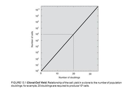 FIGURE 13.1 Clonal Cell Yield. Relationship of the cell yield in a clone to the number of population doublings; for example, 20 doublings are required.