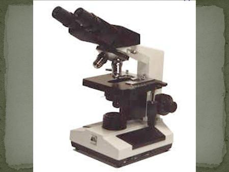 2A: Microscopy. Post Lab 2 is assigned today and due by the time your lab meets next. Pre Lab 3 will be available on Wednesday at 5 PM and is also due.