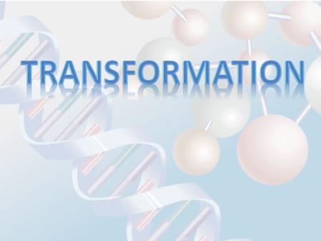 Transformation is the process of introducing DNA into bacterial cells.