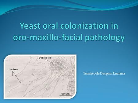 Temistocle Despina Luciana. Short background The Candida gender is represented by dimorphic-like fungi can shift from yeast to pseudomycelial state, depending.