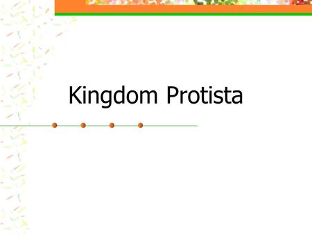 Kingdom Protista.