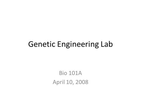 Genetic Engineering Lab Bio 101A April 10, 2008. Describe your results from the PCR lab. Was your sample GMO? How do you know? Describe differences between.