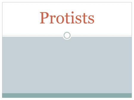 Protists. What is a Protist? A protist is any organism that is not a plant, an animal, a fungus, or a prokaryote.  The 1 st eukaryotic organisms on Earth,