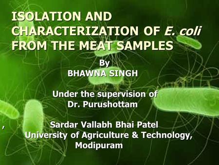 ISOLATION AND CHARACTERIZATION OF E. coli FROM THE MEAT SAMPLES By By BHAWNA SINGH BHAWNA SINGH Under the supervision of Under the supervision of Dr. Purushottam.