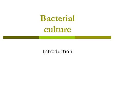 Bacterial culture Introduction. What are bacteria?  Prokaryotic organism  Unicellular  No nuclear envelope around the genomic DNA  Absence of cellular.