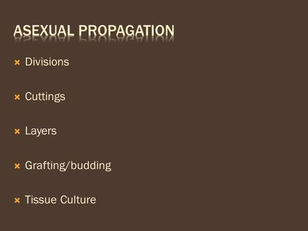  Divisions  Cuttings  Layers  Grafting/budding  Tissue Culture.
