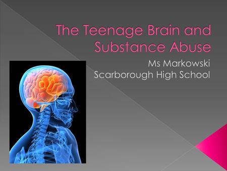  Remember, your brain grows until what age ____???  Also, the amygdala is _______________which makes your brain more sensitive to new, exciting, dangerous.