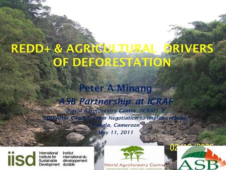 REDD+ & AGRICULTURAL DRIVERS OF DEFORESTATION Peter A Minang ASB Partnership at ICRAF World Agroforestry Centre (ICRAF) R EDD After Cancun: From Negotiation.