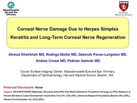 Ahmad Kheirkhah MD, Rodrigo Muller MD, Deborah Pavan-Langston MD, Andrea Cruzat MD, Pedram Hamrah MD Ocular Surface Imaging Center, Massachusetts Eye and.