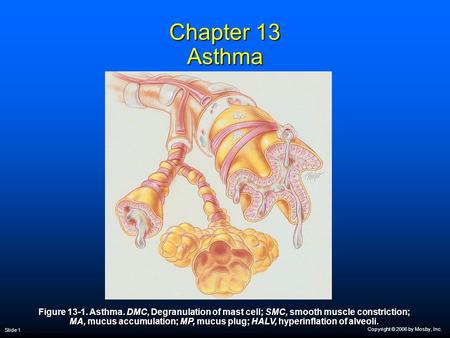 Copyright © 2006 by Mosby, Inc. Slide 1 Chapter 13 Asthma Figure 13-1. Asthma. DMC, Degranulation of mast cell; SMC, smooth muscle constriction; MA, mucus.