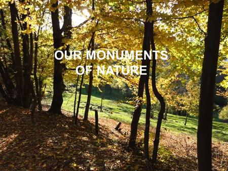 OUR MONUMENTS OF NATURE. Ljubljansko barje- the Ljubljana Marshes It is a wetland area on the southern edge of the Ljubljana basin. Today, it is the largest.