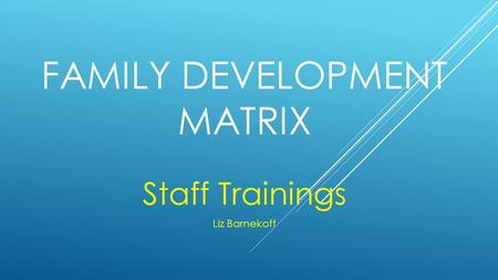 FAMILY DEVELOPMENT MATRIX Staff Trainings Liz Barnekoff.