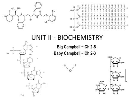 Big Campbell ~ Ch 2-5 Baby Campbell ~ Ch 2-3