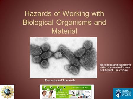 Hazards of Working with Biological Organisms and Material  pedia/commons/e/ee/Reconstru cted_Spanish_Flu_Virus.jpg Reconstructed.