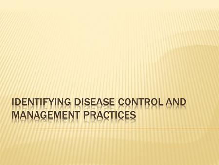  Share a past experiences of when you were ill. How did you became ill, how did you try to prevent spreading the illness to others, and how do you now.