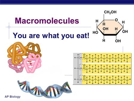 Macromolecules You are what you eat!.