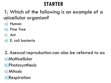 STARTER 1. Which of the following is an example of a unicellular organism? a)Human b)Pine Tree c)Ant d)E. coli bacteria 2. Asexual reproduction can also.