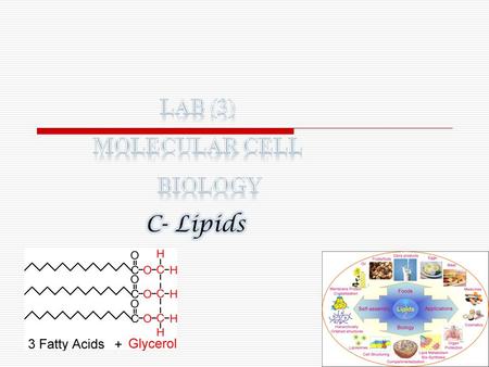 Molecular Cell Biology