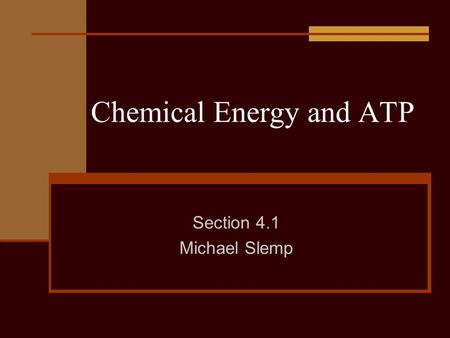 Chemical Energy and ATP