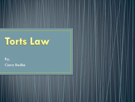 By, Ciara Bedke. o Civil wrong vs. criminal o Actions of one person physically, mentally, or emotionally injured another person. o Plaintiff* filing tort.