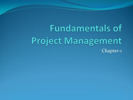 Fundamentals of Project Management