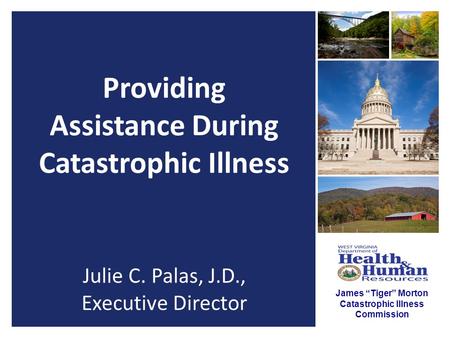 James “Tiger” Morton Catastrophic Illness Commission Providing Assistance During Catastrophic Illness Julie C. Palas, J.D., Executive Director.