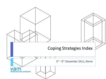 Coping Strategies Index 5 th - 9 th December 2011, Rome.