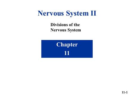 Nervous System II Divisions of the Nervous System Chapter 11 11-1.