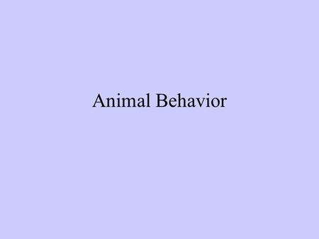 Animal Behavior.