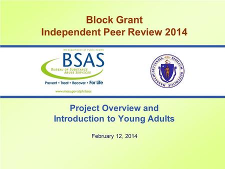 Block Grant Independent Peer Review 2014 Project Overview and Introduction to Young Adults February 12, 2014.