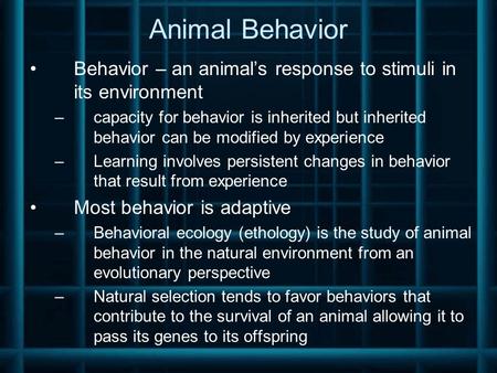 Animal Behavior Behavior – an animal’s response to stimuli in its environment –capacity for behavior is inherited but inherited behavior can be modified.