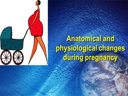 Anatomical and physiological changes during pregnancy