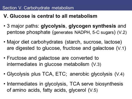 Section V. Carbohydrate metabolism V. Glucose is central to all metabolism 3 major paths: glycolysis, glycogen synthesis and pentose phosphate ( generates.