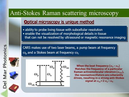 Ability to probe living tissue with subcellular resolution enable the visualization of morphological details in tissue that can not be resolved by ultrasound.