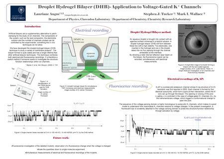 Droplet Hydrogel Bilayer (DHB)- Application to Voltage-Gated K + Channels Lauriane Angué 1,2 Stephen J. Tucker 1 / Mark I. Wallace.