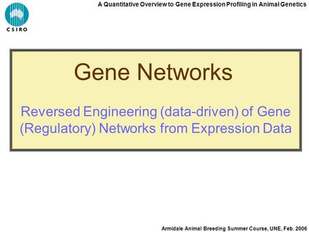 A Quantitative Overview to Gene Expression Profiling in Animal Genetics Armidale Animal Breeding Summer Course, UNE, Feb. 2006 Gene Networks Reversed Engineering.