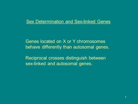 1 Sex Determination and Sex-linked Genes Genes located on X or Y chromosomes behave differently than autosomal genes. Reciprocal crosses distinguish between.