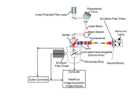 Camera Excitation Filter Wheel Emission Filter Wheel Automated Interchangeable Dichroic Mirror Splitter Microscopy Body Lens Xenon Arc Lamp Sutter Controller.