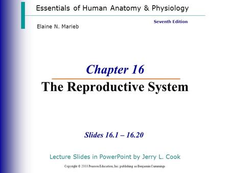 Essentials of Human Anatomy & Physiology Copyright © 2003 Pearson Education, Inc. publishing as Benjamin Cummings Slides 16.1 – 16.20 Seventh Edition Elaine.