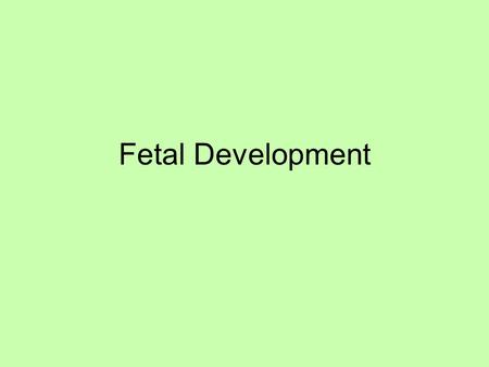 Fetal Development. Signs of Pregnancy: Missed Period Morning Sickness (nausea) Fatigue.