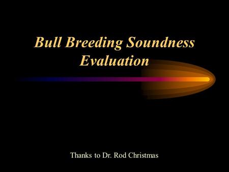 Bull Breeding Soundness Evaluation Thanks to Dr. Rod Christmas.