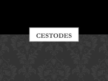 Cestodes.