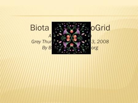 Biota and the EvoGrid A short presentation Grey Thumb (Boston) March 3, 2008 By Bruce Damer/Biota.org.