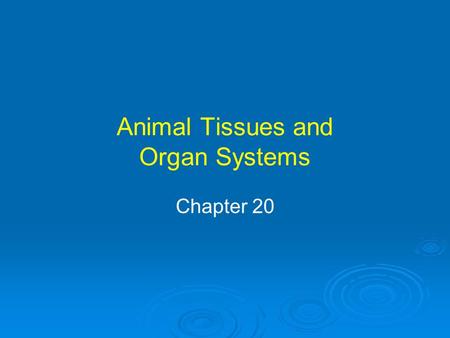 Animal Tissues and Organ Systems