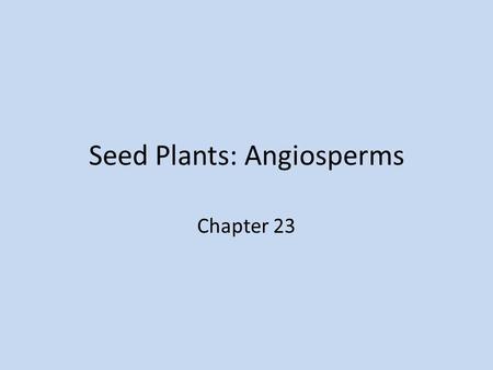 Seed Plants: Angiosperms